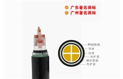 ZA-YJV32-0.6/1kV花城電纜 ZA-YJV32-0.6/1kV花城電纜